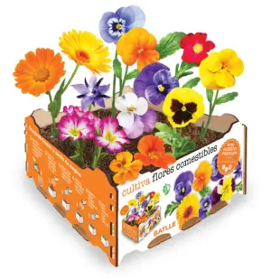 HUERTO URBANO FLORES COMESTIBL