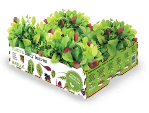 HUERTO URBANO BABY LEAVES BATL