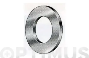 ARANDELA PLANADIN125A M 3 5000