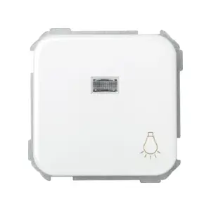 PULSADOR LUZ CON LUMINOSO BLAN