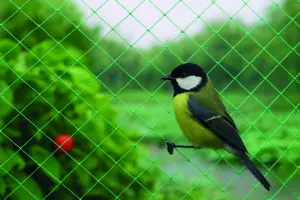 MALLA ANTI-PAJARO 2X10M VERDE