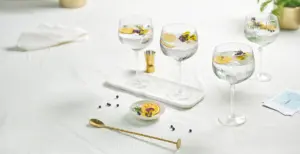 COPA GIN TONIC PACK 6UDS SPECI