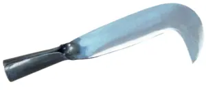 TAJAMATA CORTE