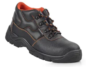 BOTA SEG S3 SRC BECO T43 BECON