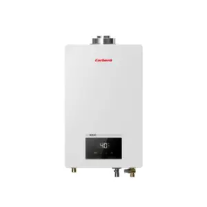 CALENTADOR ESTANCO GAS BUTANO