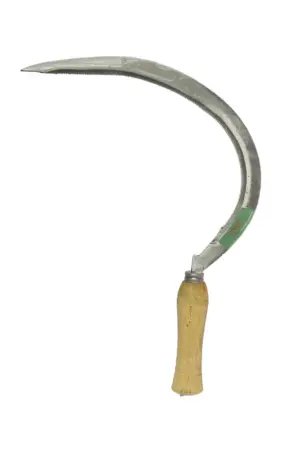 HOZ DENTADA 34,5CMX2,2CM